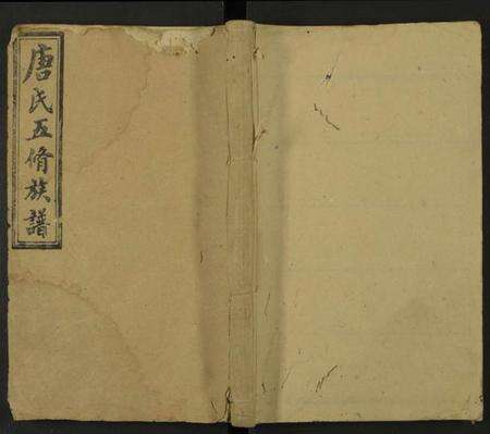 湖南唐氏族谱-唐氏五修族谱 [残卷].pdf电子版缩略图