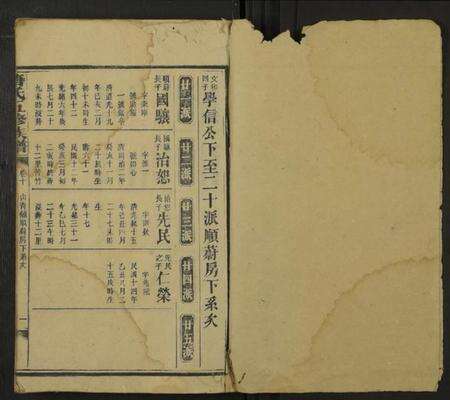 湖南唐氏族谱-唐氏五修族谱 [残卷].pdf电子版预览图1