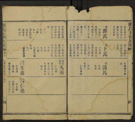 湖南唐氏族谱-唐氏五修族谱 [残卷].pdf电子版预览图2