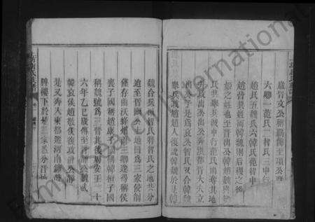 湖南唐氏族谱-上坊唐氏族谱.pdf电子版预览图2