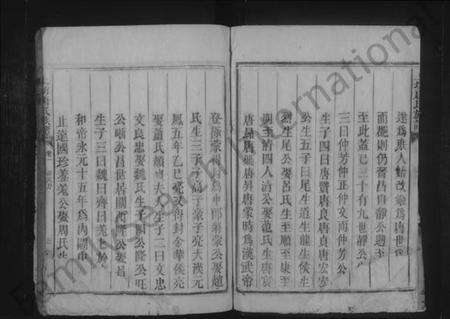 湖南唐氏族谱-上坊唐氏族谱.pdf电子版预览图3