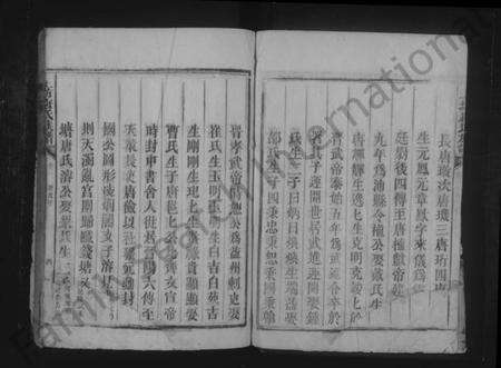 湖南唐氏族谱-上坊唐氏族谱.pdf电子版预览图4