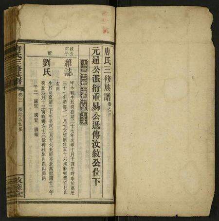 湖南唐氏族谱-唐氏三修族谱 [存4卷].pdf电子版预览图1