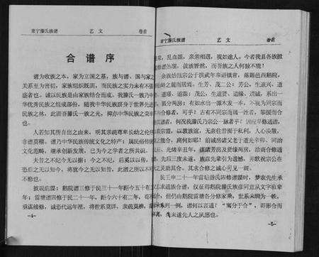 湖南滕氏族谱-常宁滕氏族谱[10卷首1卷].pdf电子版预览图5