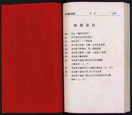 湖南腾氏族谱-常宁腾氏族谱.pdf电子版预览图2