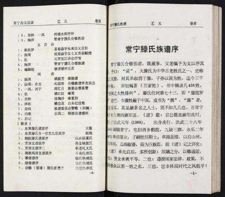 湖南腾氏族谱-常宁腾氏族谱.pdf电子版预览图4