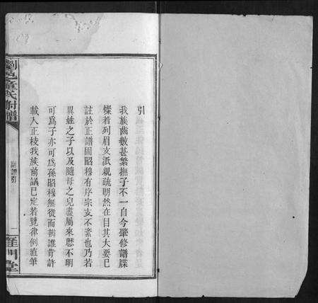 湖南童氏族谱-浏邑童氏族谱[11卷].pdf电子版预览图1