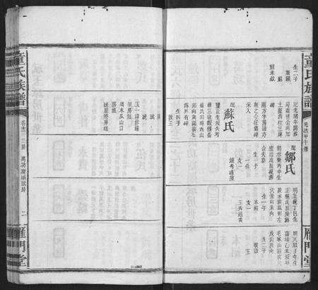 湖南童氏族谱-童氏六修族谱.pdf电子版预览图2