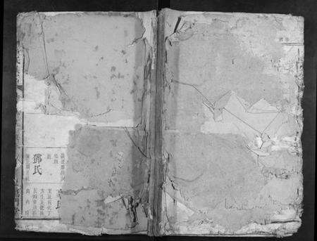 湖南童氏族谱-童氏宗谱.pdf电子版缩略图