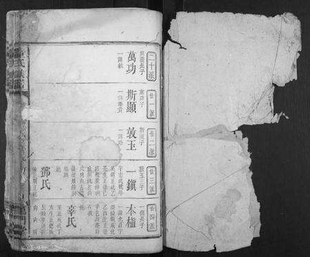 湖南童氏族谱-童氏宗谱.pdf电子版预览图1