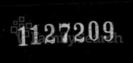 浙江任氏族谱-萧山埭湖任氏宗谱.pdf电子版缩略图