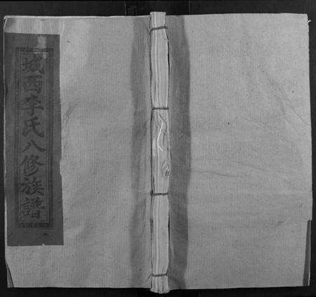 江西李氏族谱-宁都城西李氏八修族谱[不分卷].pdf电子版缩略图