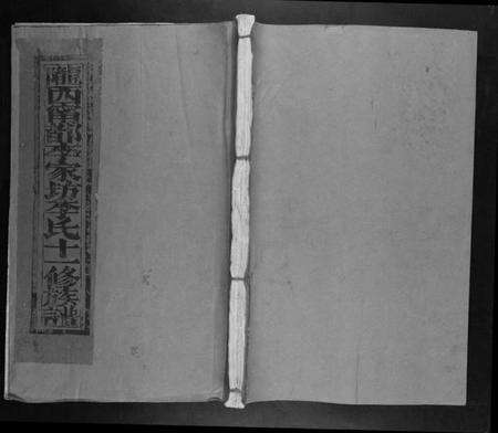 江西李氏族谱-宁都李家坊李氏十一修族谱[10卷].pdf电子版缩略图