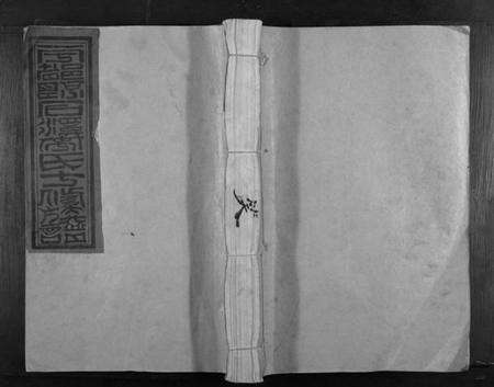 江西李氏族谱-宁都县石溪李氏十修族谱.pdf电子版缩略图