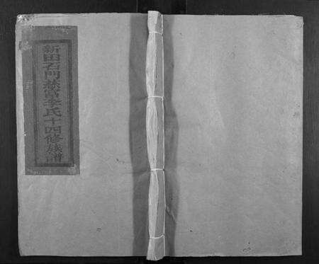 江西李氏族谱-新田石门慈富李氏十四修族谱[不分卷].pdf电子版缩略图