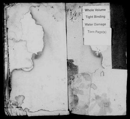 湖南王氏族谱-上湘王氏族谱 [8卷,及卷首末].pdf电子版预览图2