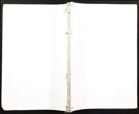 湖南王氏族谱-上湘苏塘王氏四修族谱.pdf电子版缩略图