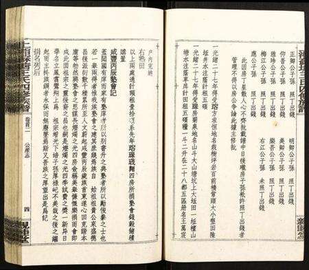 湖南王氏族谱-上湘苏塘王氏四修族谱.pdf电子版预览图4