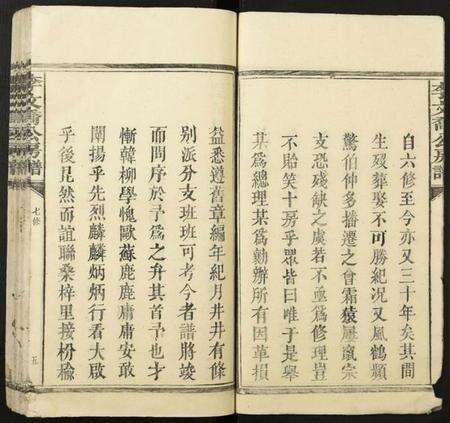 江西李氏族谱-李文乔公房谱.pdf电子版预览图5