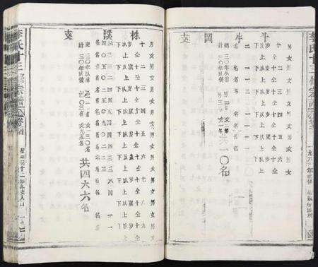 江西李氏族谱-李氏十三修宗谱.pdf电子版预览图5