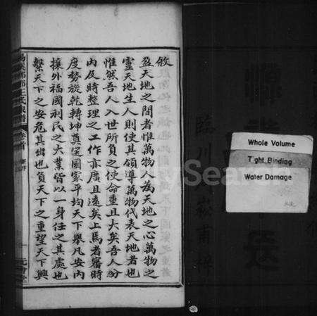 湖南王氏族谱-易溪琅琊王氏家谱 [7卷,及卷末].pdf电子版预览图3