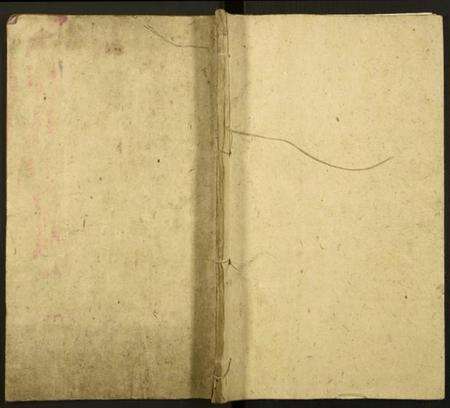 湖南王氏族谱-湘南王氏通谱.pdf电子版缩略图