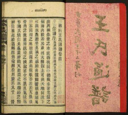 湖南王氏族谱-湘南王氏通谱.pdf电子版预览图2