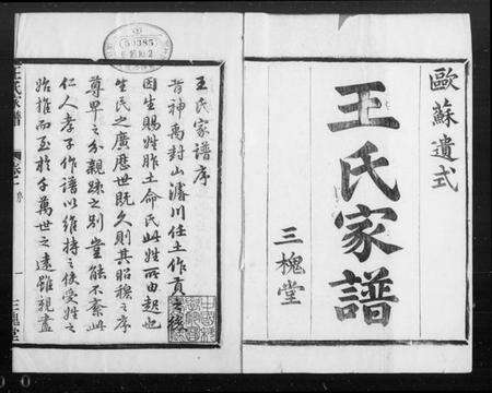 浙江王氏族谱-萧山车里王氏宗谱 [8卷].pdf电子版预览图5