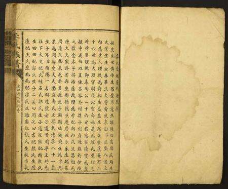 江西李氏族谱-李氏族谱.pdf电子版预览图1