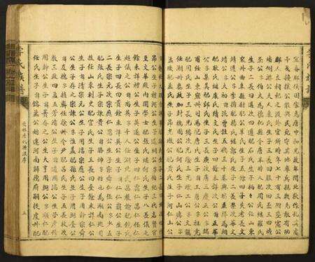 江西李氏族谱-李氏族谱.pdf电子版预览图5