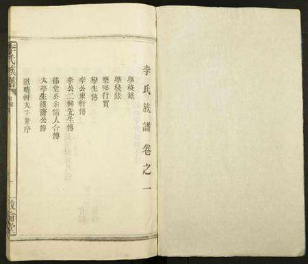 江西李氏族谱-李氏族谱.pdf电子版预览图1