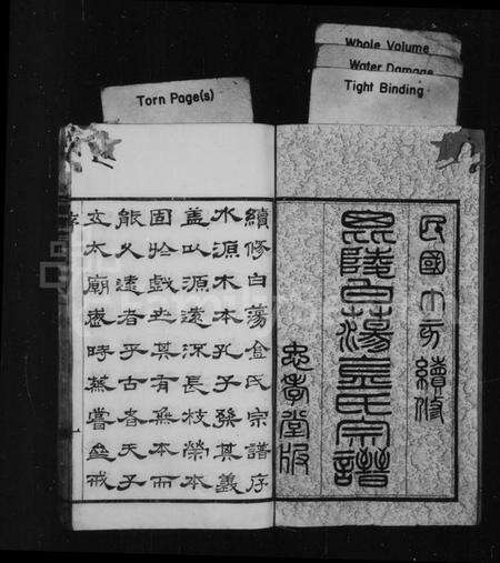 江苏金氏族谱-毘陵白荡金氏宗谱 [8卷].pdf电子版预览图2