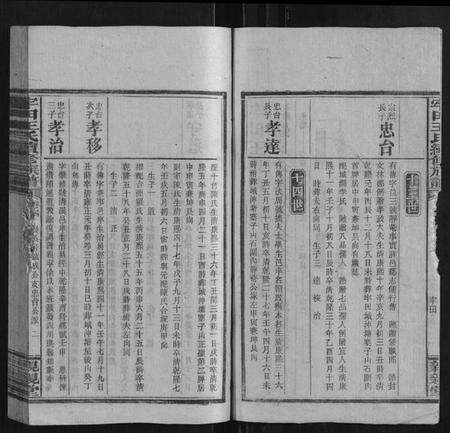 湖南王氏族谱-牢田王氏续修族谱.pdf电子版预览图2