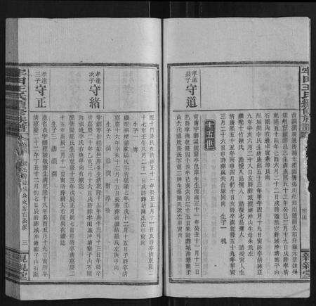 湖南王氏族谱-牢田王氏续修族谱.pdf电子版预览图3