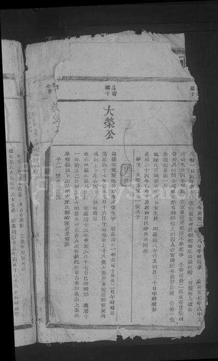 江西李氏族谱-东龙李氏九修族谱 [残卷].pdf电子版预览图4