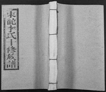 江西李氏族谱-东龙李氏十修族谱[13卷].pdf电子版缩略图