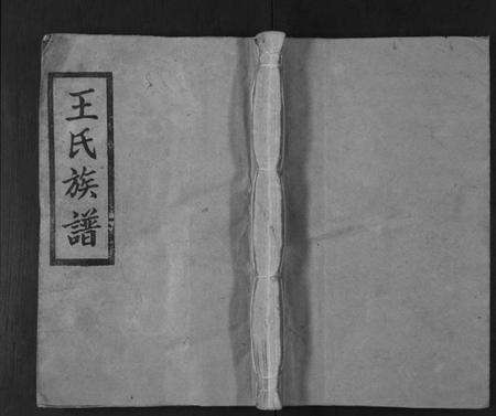 湖南王氏族谱-王氏三修族谱[3卷首1卷].pdf电子版缩略图