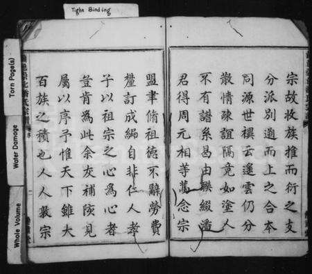 浙江潘氏族谱-萧邑崇化潘氏宗谱.pdf电子版预览图4