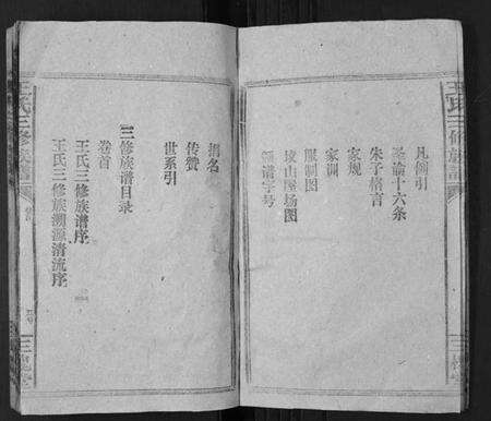 湖南王氏族谱-王氏三修族谱[3卷首1卷].pdf电子版预览图4