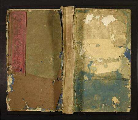 江西李氏族谱-梅山李氏重修族谱.pdf电子版缩略图