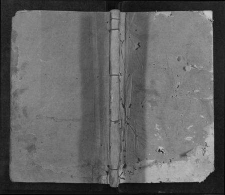 江西李氏族谱-瑞邑智乡岽背李氏八修族谱[不分卷].pdf电子版缩略图