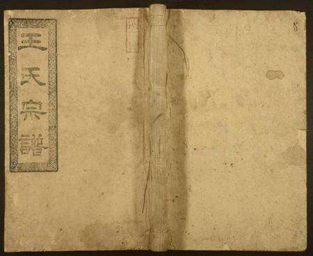 湖南王氏族谱-王氏五修宗谱.pdf电子版缩略图