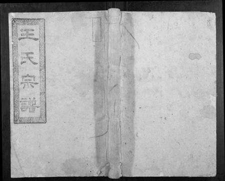 湖南王氏族谱-王氏五修宗谱.pdf电子版缩略图