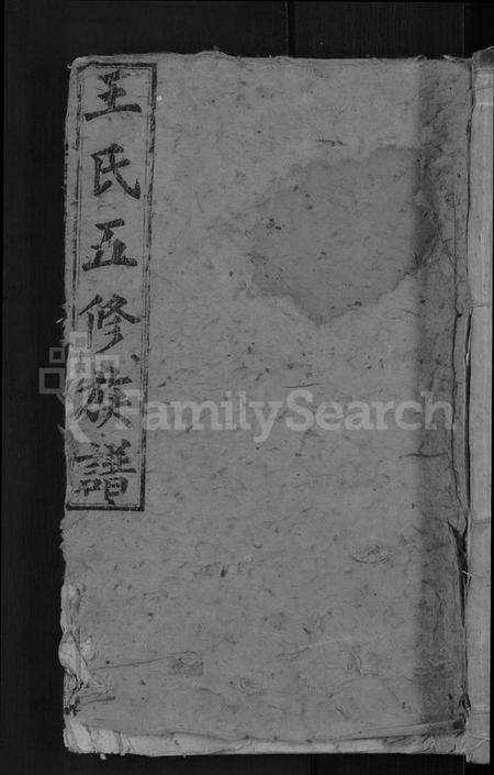 湖南王氏族谱-王氏五修族谱 [15卷,首末各1卷].pdf电子版缩略图