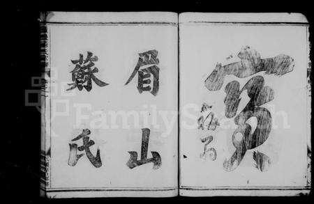 浙江苏氏族谱-苏氏宗谱 [3卷].pdf电子版预览图4