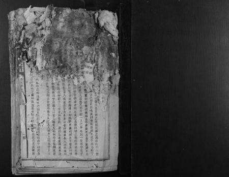 江西李氏族谱-石溪李氏九修族谱.pdf电子版预览图1