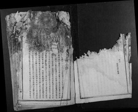 江西李氏族谱-石溪李氏九修族谱.pdf电子版预览图3