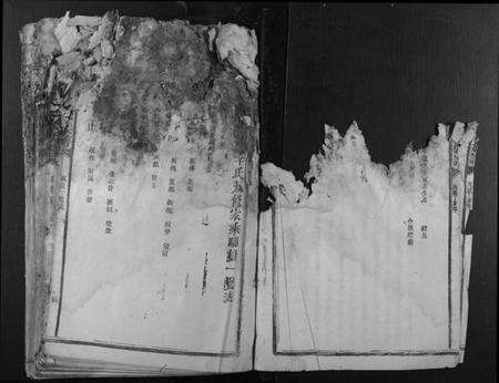 江西李氏族谱-石溪李氏九修族谱.pdf电子版预览图4