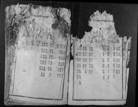 江西李氏族谱-石溪李氏九修族谱.pdf电子版预览图5