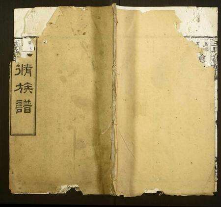 湖南王氏族谱-王氏八修族谱.pdf电子版缩略图